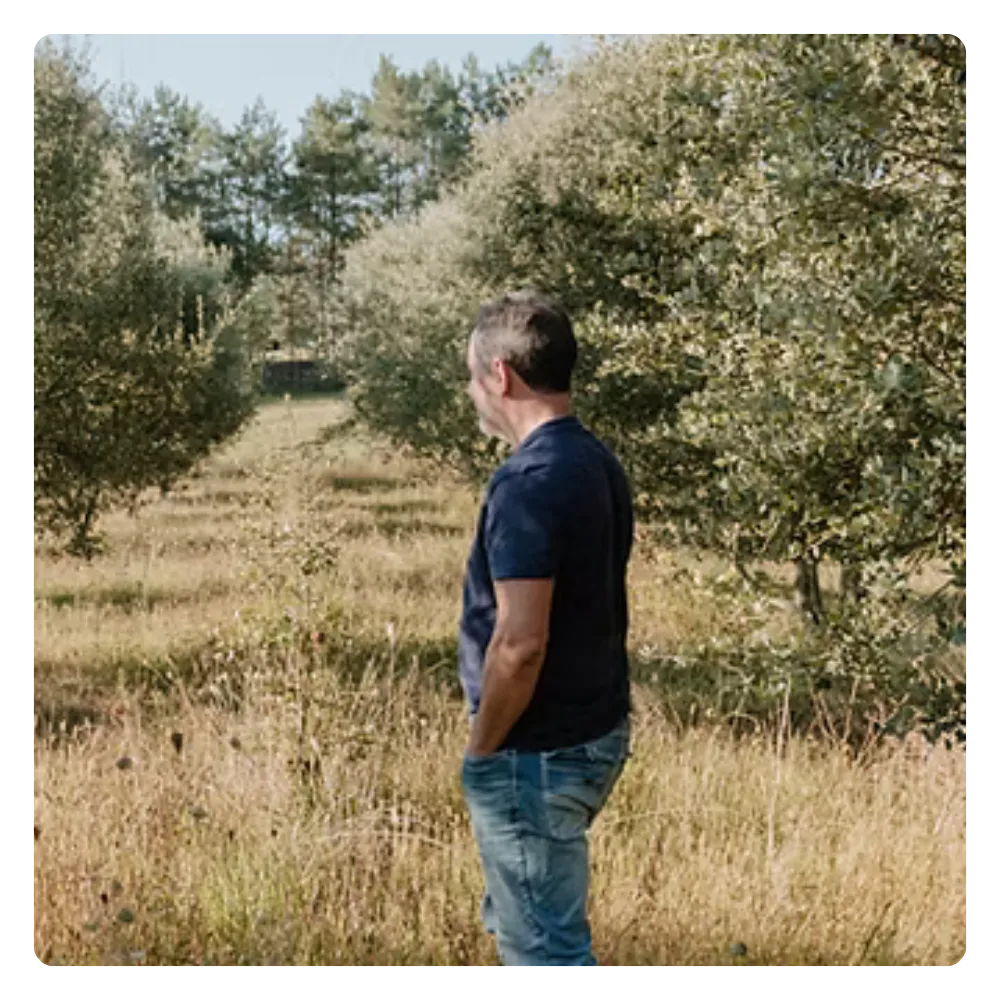 Vue des vergers